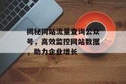 揭秘网站流量查询公众号，高效监控网站数据，助力企业增长