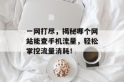 一网打尽，揭秘哪个网站能查手机流量，轻松掌控流量消耗！