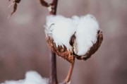 期货交易中如何制定有效的风险管理策略？