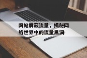 网站屏蔽流量，揭秘网络世界中的流量黑洞