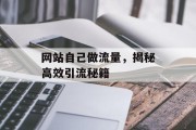 网站自己做流量，揭秘高效引流秘籍
