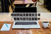 揭秘网站流量增长之道，策略与技巧全面解析