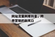 网站流量利用抖音，跨界营销的新风口