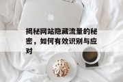 揭秘网站隐藏流量的秘密，如何有效识别与应对