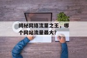 揭秘网络流量之王，哪个网站流量最大？