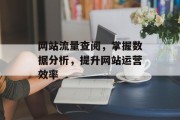 网站流量查阅，掌握数据分析，提升网站运营效率