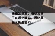 揭秘流量王，揭秘流量王在哪个网站，揭秘其强大吸金能力