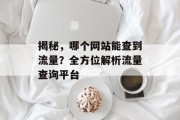 揭秘，哪个网站能查到流量？全方位解析流量查询平台
