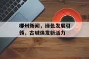 郴州新闻，绿色发展引领，古城焕发新活力