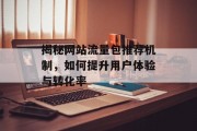 揭秘网站流量包推荐机制，如何提升用户体验与转化率