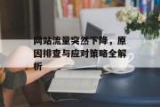网站流量突然下降，原因排查与应对策略全解析