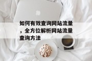 如何有效查询网站流量，全方位解析网站流量查询方法