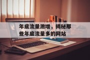 年底流量激增，揭秘那些年底流量多的网站