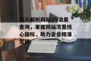深入解析网站UV流量查询，掌握网站流量核心指标，助力企业精准营销
