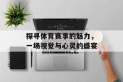 探寻体育赛事的魅力，一场视觉与心灵的盛宴