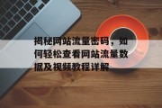 揭秘网站流量密码，如何轻松查看网站流量数据及视频教程详解