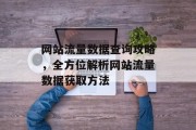 网站流量数据查询攻略，全方位解析网站流量数据获取方法