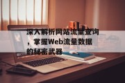 深入解析网站流量查询，掌握Web流量数据的秘密武器