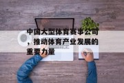中国大型体育赛事公司，推动体育产业发展的重要力量