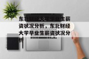 东北财经大学毕业生薪资状况分析，东北财经大学毕业生薪资状况分析