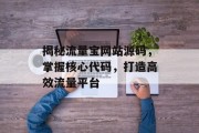 揭秘流量宝网站源码，掌握核心代码，打造高效流量平台