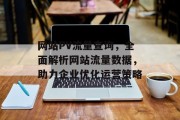 网站PV流量查询，全面解析网站流量数据，助力企业优化运营策略