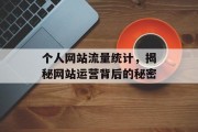 个人网站流量统计，揭秘网站运营背后的秘密