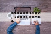 揭秘阿里流量挂机网站，流量变现的黑色产业链