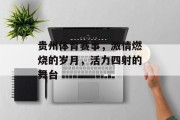 贵州体育赛事，激情燃烧的岁月，活力四射的舞台