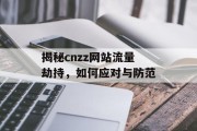 揭秘cnzz网站流量劫持，如何应对与防范