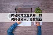 揭秘网站流量费用，如何降低成本，提高效益