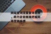 网站查询流量查询系统，助力企业精准把握网络营销脉搏