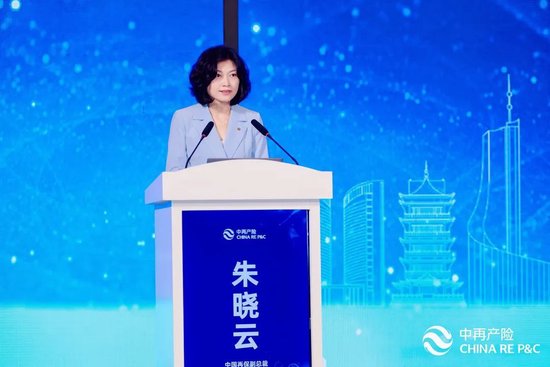 2024年中国财产再保险市场研讨会召开——财产险市场呈现高质量发展态势,再保需求稳中有增