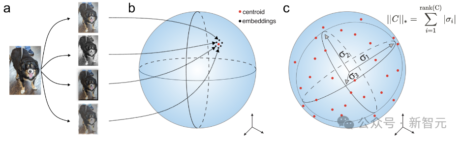重新定义自监督学习，LeCun 团队让 MMCR 再进一步