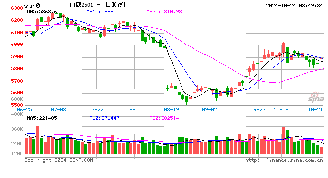 【白糖】闻风起,待惊雷