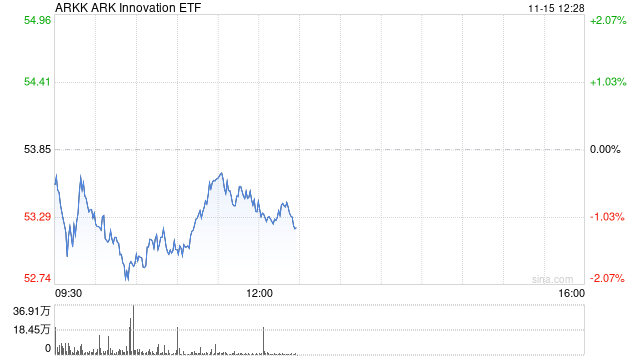 “木头姐”称其方舟创新基金不应重仓任何投资组合