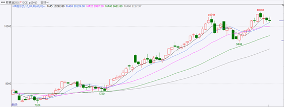 【棕榈油持续上涨是何原因?-2024.12.09】供减需增、且库存处低位,偏强格局有望延续