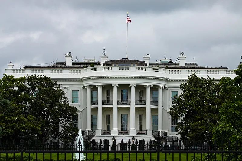 特朗普最新发声!