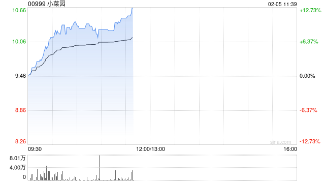 小菜园早盘涨超9% 机构预测公司有望进入港股通