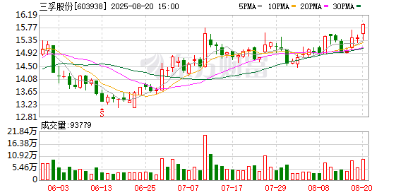 三孚股份：2025年半年度归属于上市公司股东的净利润为38458409.75元