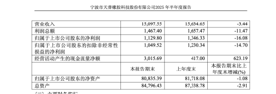 AI芯片公司跨界收购！中昊芯英三步夺天普股份控股权，9连板后停牌