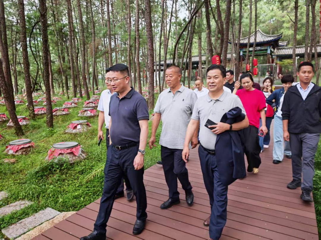 产业互补  市场互通  共促区域经济协同发展——昆明市工商联与昆明市大理商会联合开展“四走进”活动