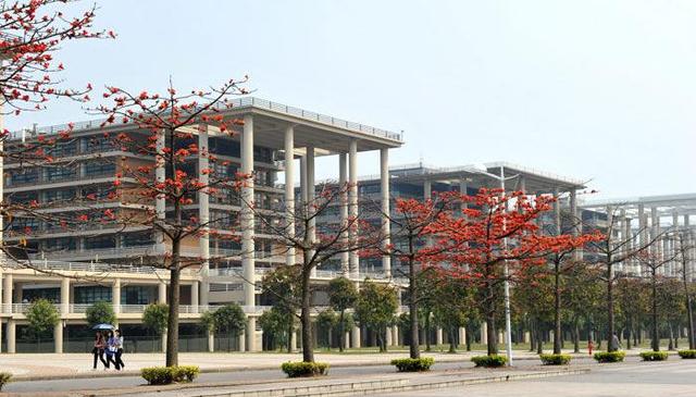 广东工业大学211院校(广东工业大学211 985)
