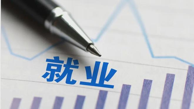 大学毕业后找什么岗位(会展专业可以找什么岗位)