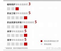 985院校转专业难吗知乎(985高校转专业难度排名 哪所大学最容易)