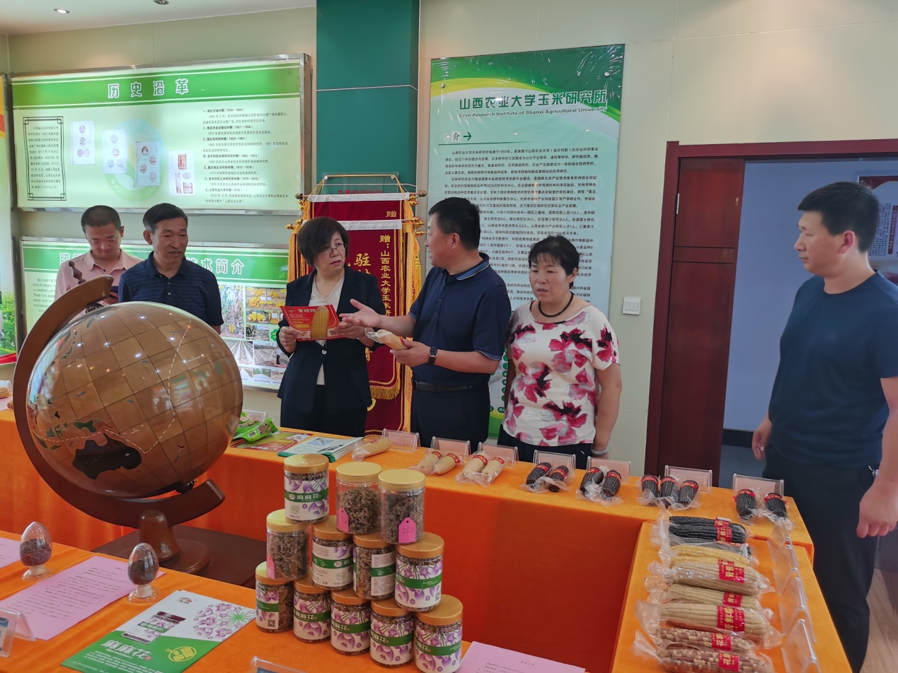 山西农业大学毕业后做什么工作好(山西农业大学毕业后做什么工作好就业) 山西农业大学毕业后做什么工作好(山西农业大学毕业后做什么工作好就业)