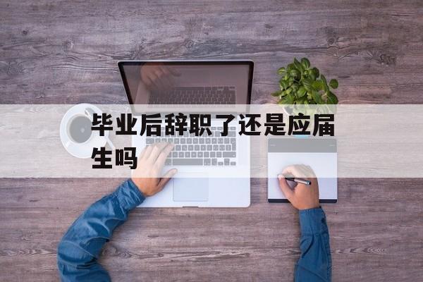毕业后辞职了还是应届生吗 毕业后辞职了还是应届生吗