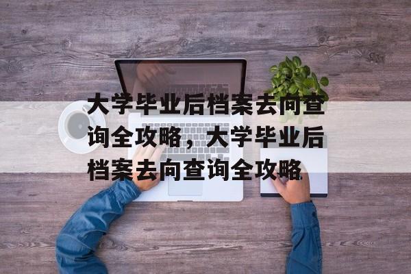 大学毕业后档案去向查询全攻略，大学毕业后档案去向查询全攻略