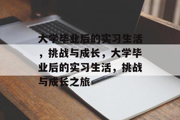 大学毕业后的实习生活，挑战与成长，大学毕业后的实习生活，挑战与成长之旅