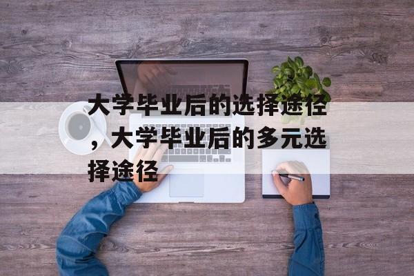 大学毕业后的选择途径，大学毕业后的多元选择途径